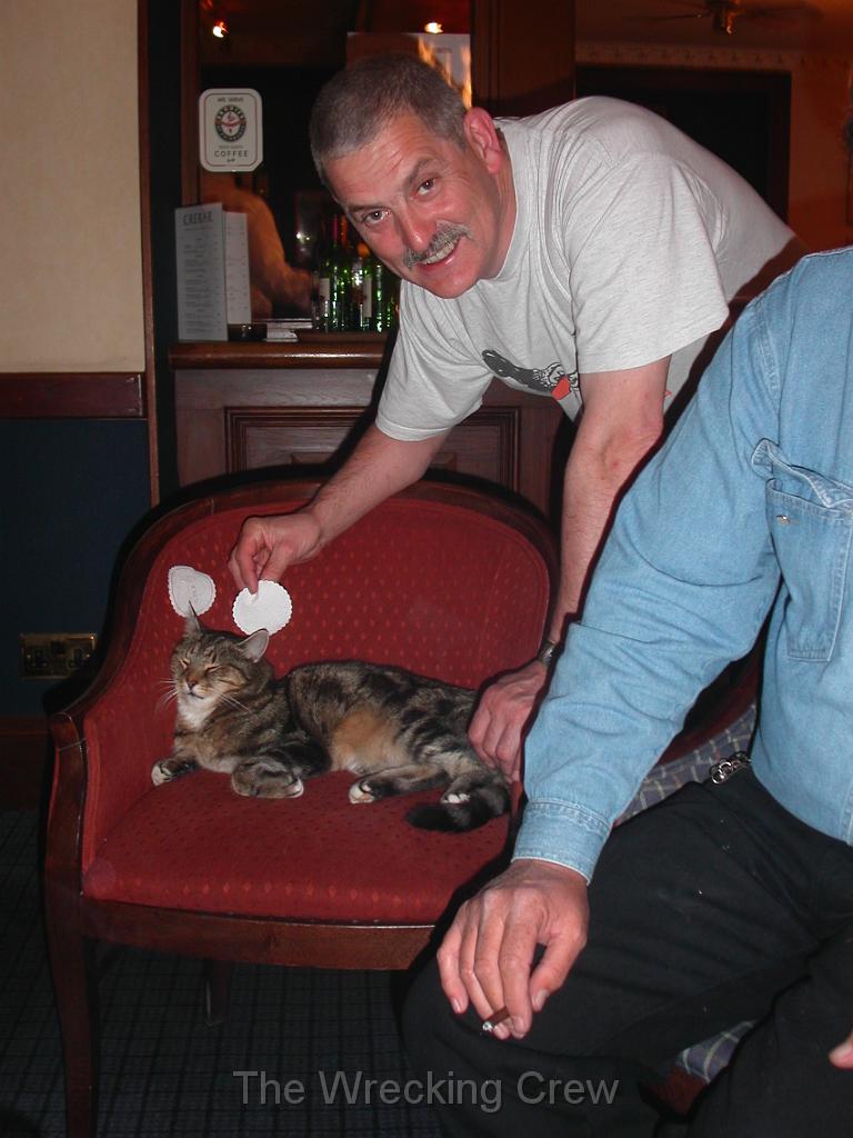 SPOT THE FELINE.JPG